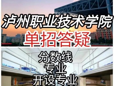 泸州职业技术学院是公立还是私立？泸州职业技术学院怎么样?？