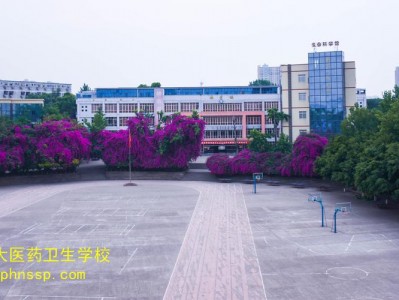 成都华大医药卫校分数线，四川成都华大医药卫生学校录取分数
