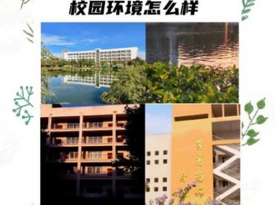 广西民族师范院校？广西民族师范学院百度百科？