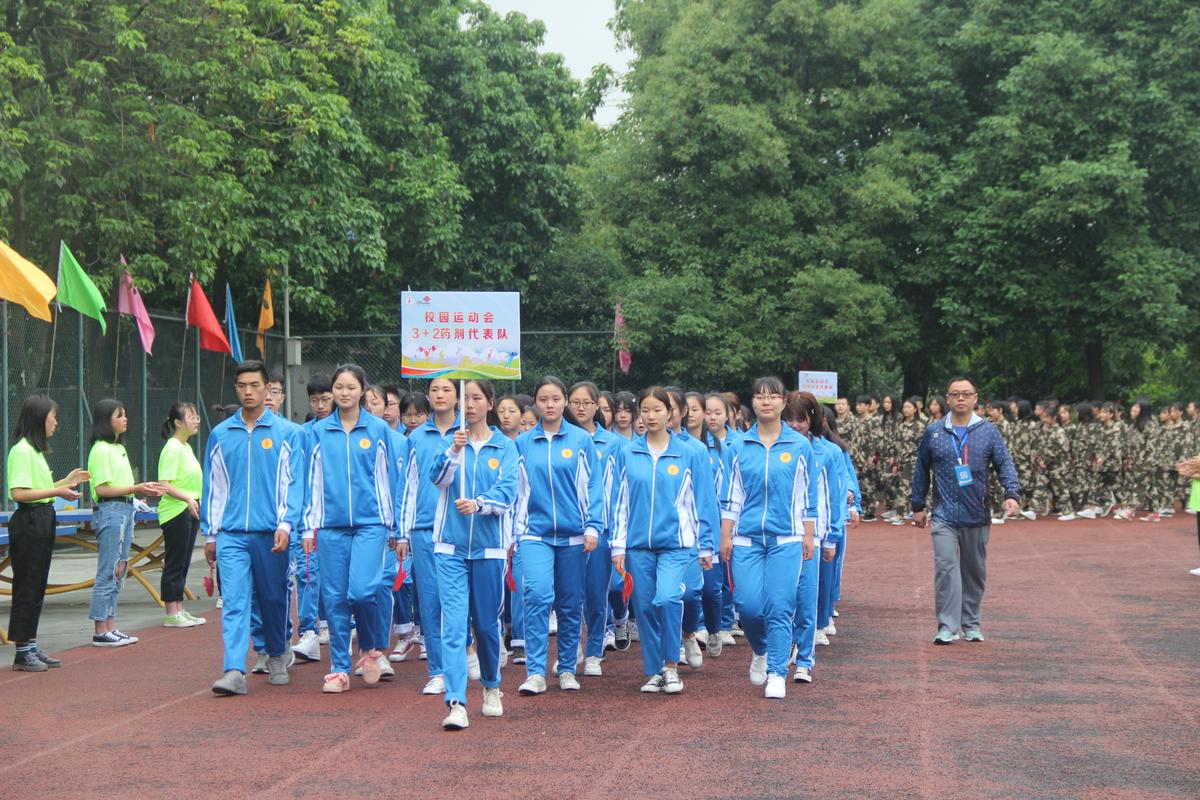 眉山卫校是公办还是民办
