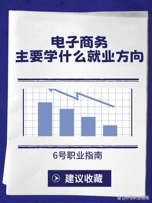 电子商务专业可以分为哪两类方向?