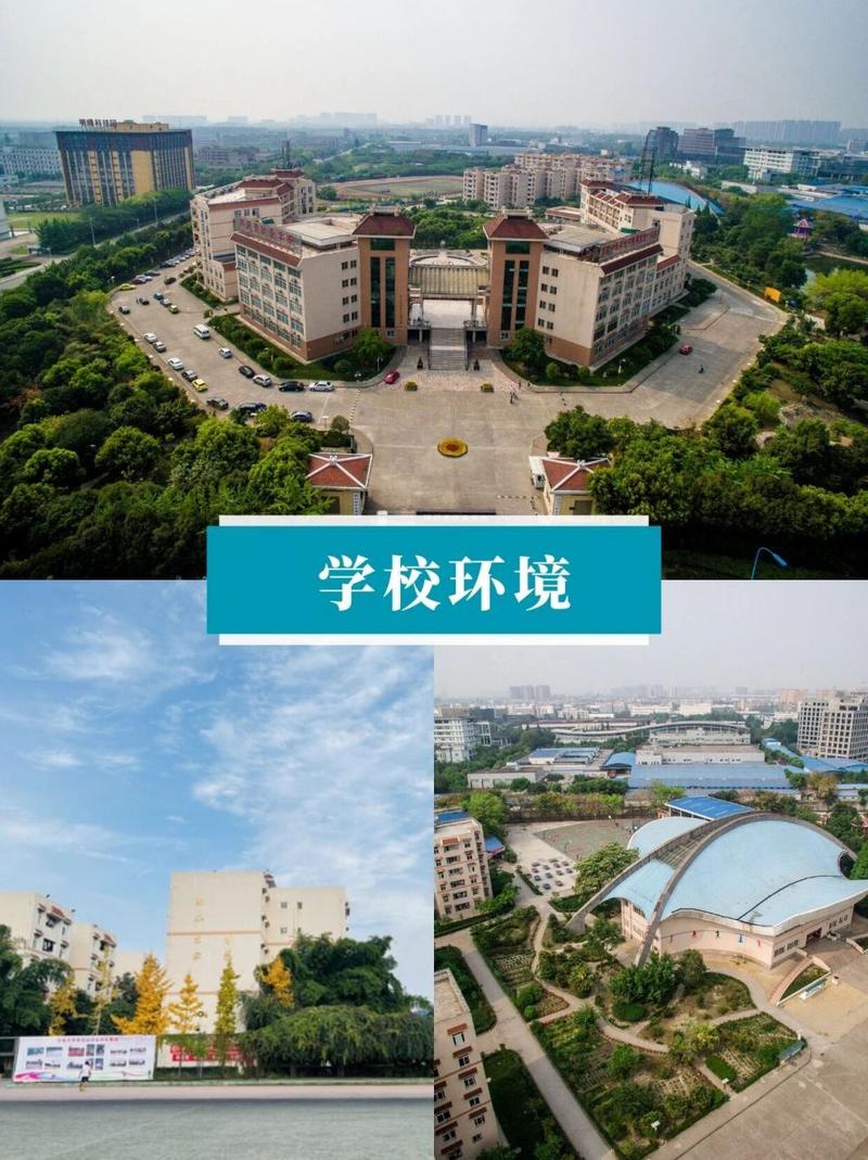 成都中医药大学怎么样