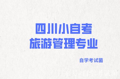在四川读旅游服务及管理专业可以去哪些学校