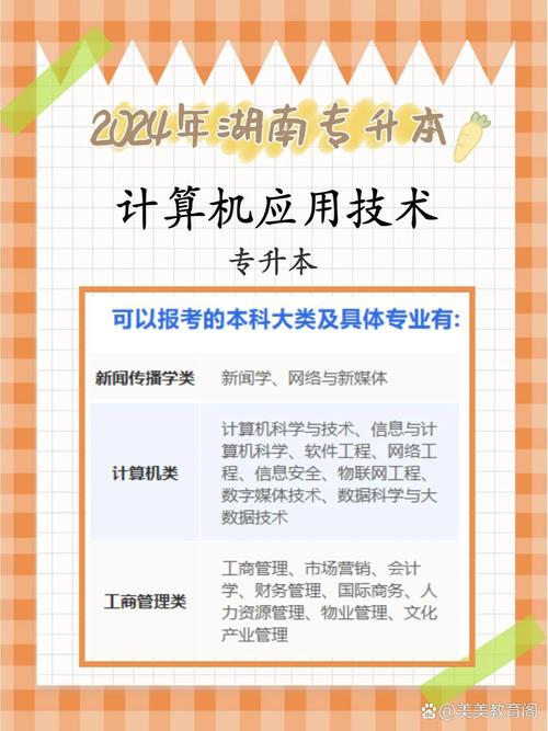 学计算机应用可以找什么工作