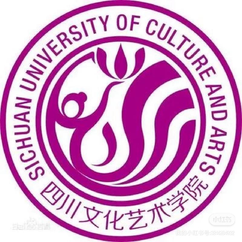 成都市文化艺术学校是初中吗