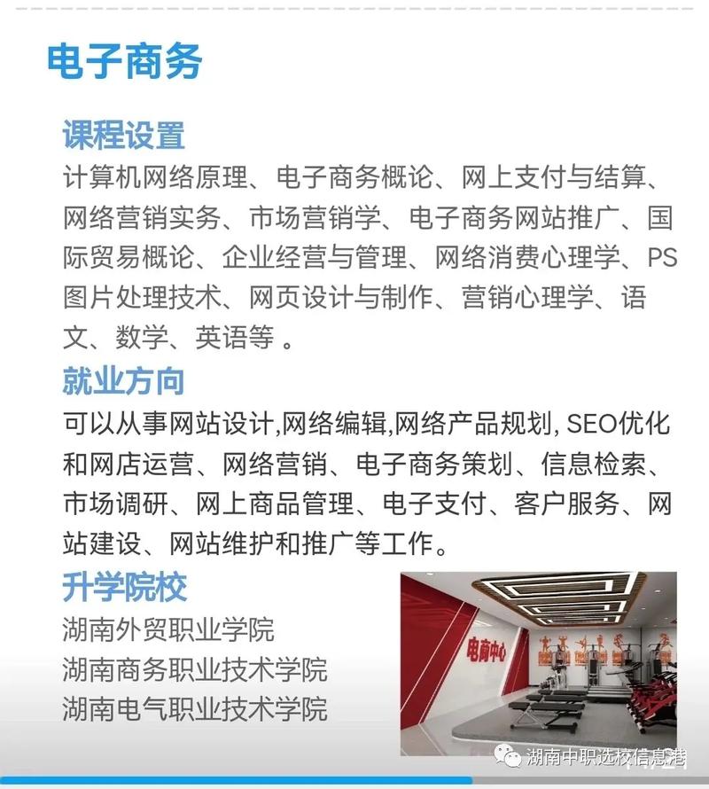 学电子商务专业的专转本可以选哪些专业