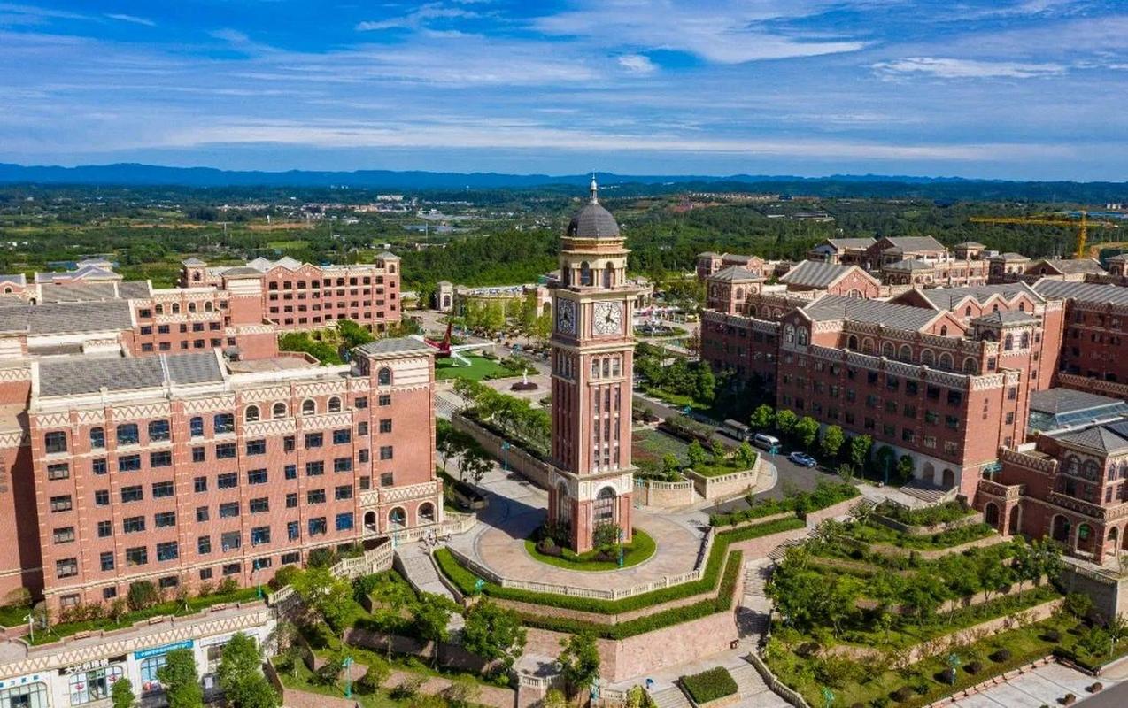 天府新区航空旅游职业学院有哪些学院?