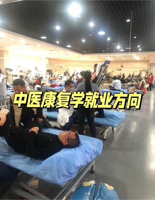 中医康复技术学什么