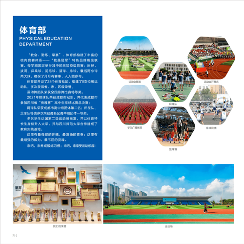 成都中和职业中学有经济信息管理专业吗?