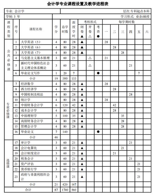 大学专业会计电算化都开什么课程