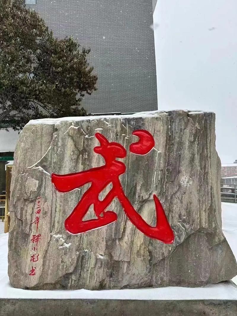 河南有几所专业武术学校