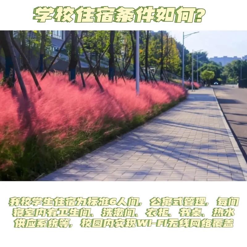 眉山职业技术学院是本科吗