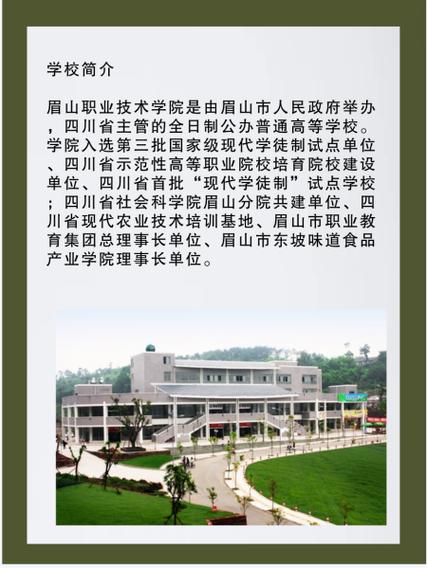 眉山职业技术学院是几本