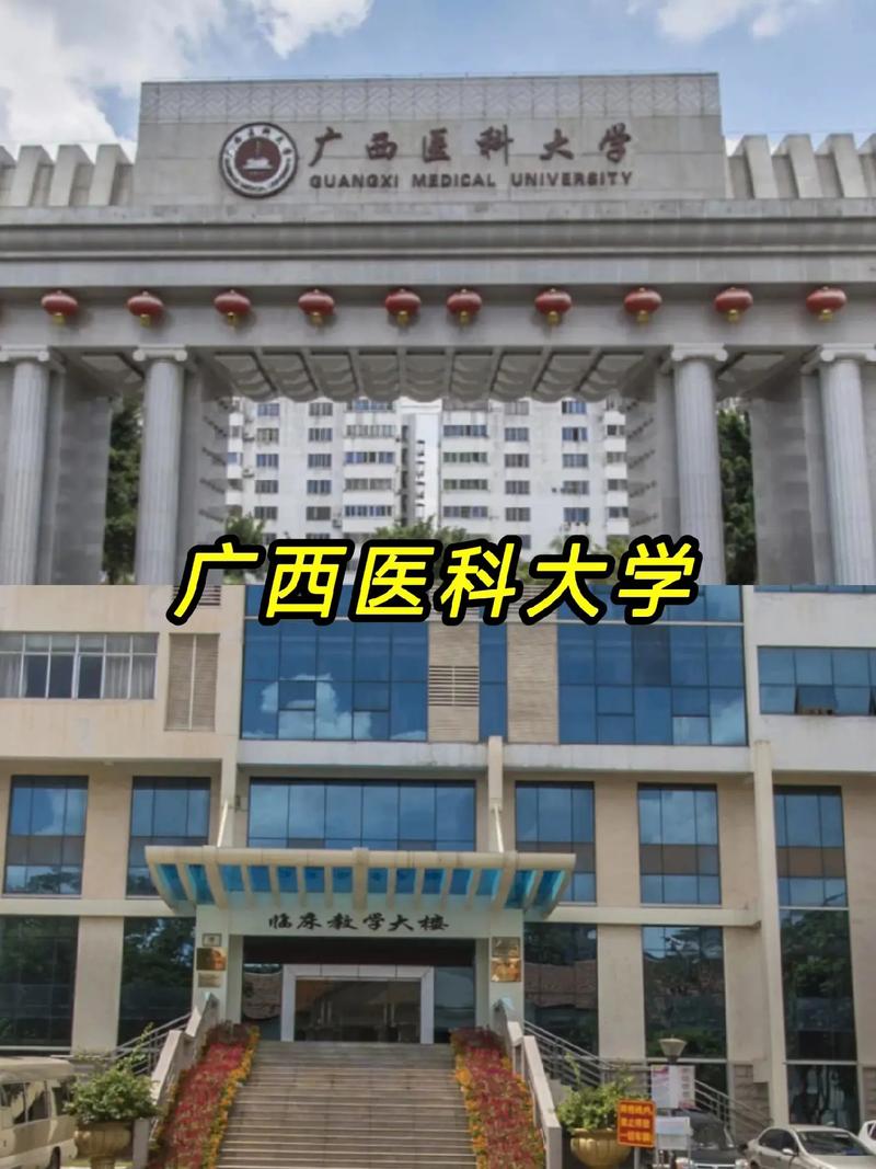 广西大专学医的学校有哪些