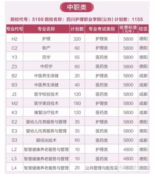 四川职业学院单招是大专吗