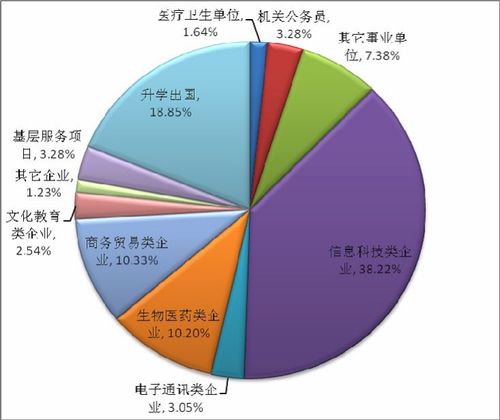 计算机应用技术的就业方向
