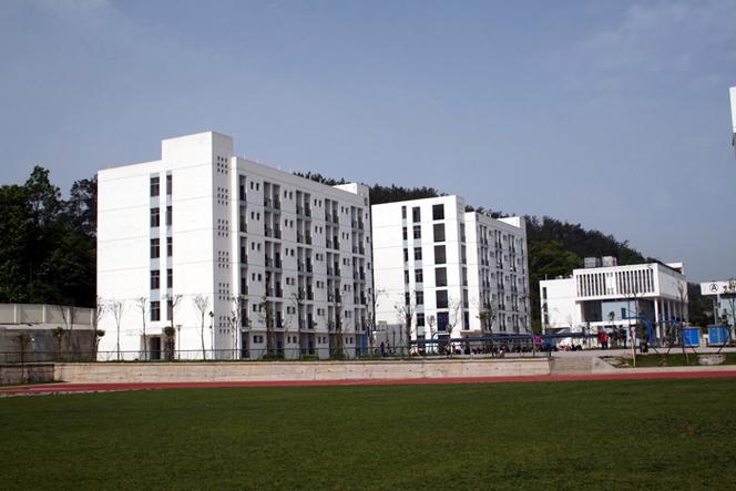 安顺学院航空服务与管理报考条件