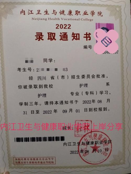 内江卫生与健康职业学院单招2023录取线