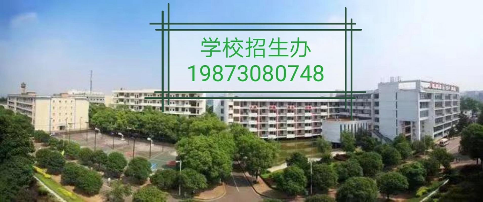衡阳职高学校有哪些学校