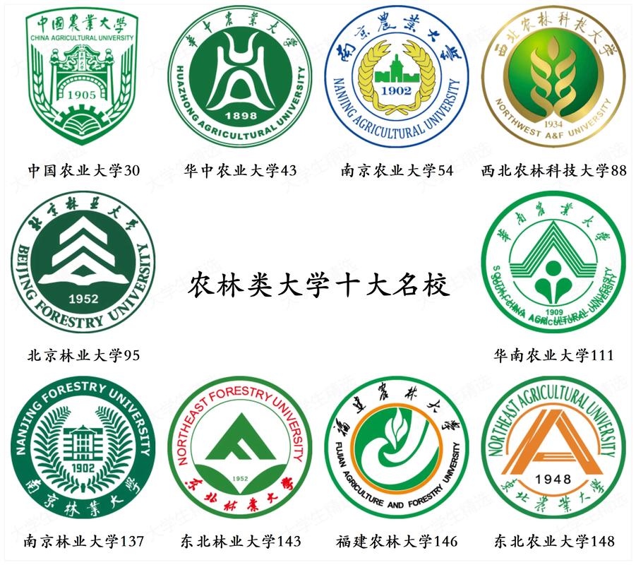 中国农业大学是211还是985