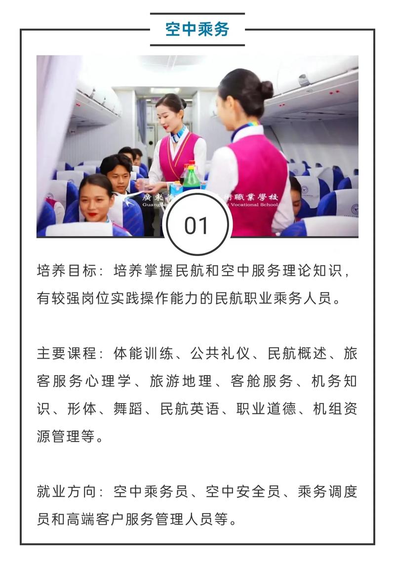 护理专业和空乘专业哪个就业前景好