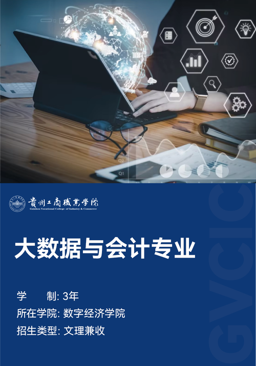 大数据与财务管理专业学什么