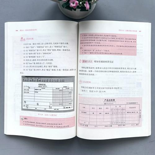 财会电算化专业是什么