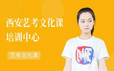 西安艺术生文化课哪家好