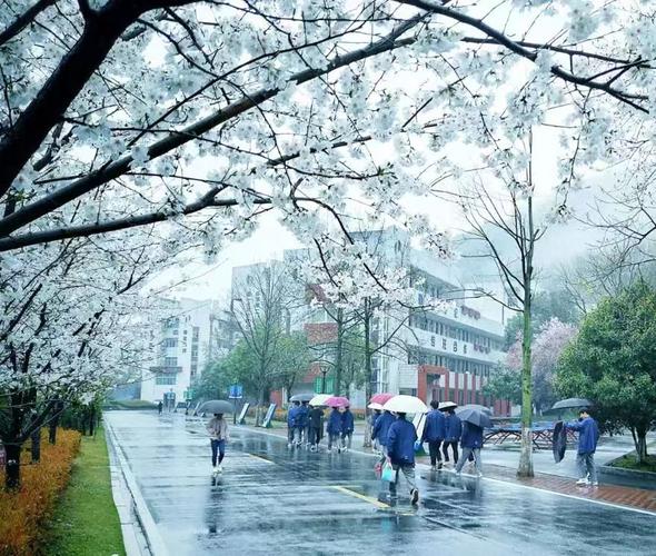 哪些学校是富阳职高学校?