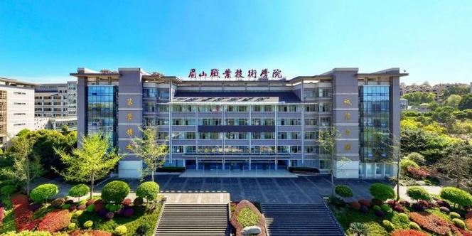 眉山职业技术学院是公办还是民办大学?