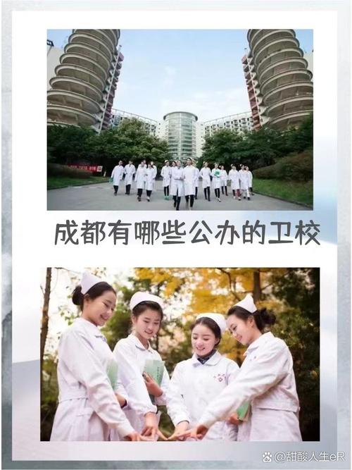 成都有哪些好的公办卫校