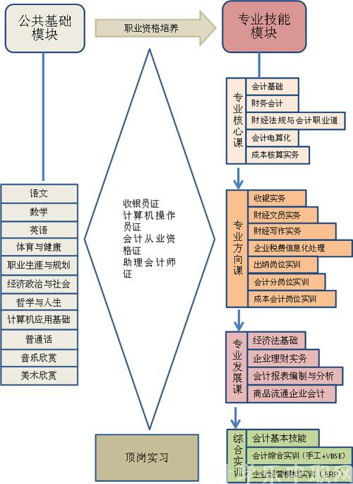 会计是哪个系的