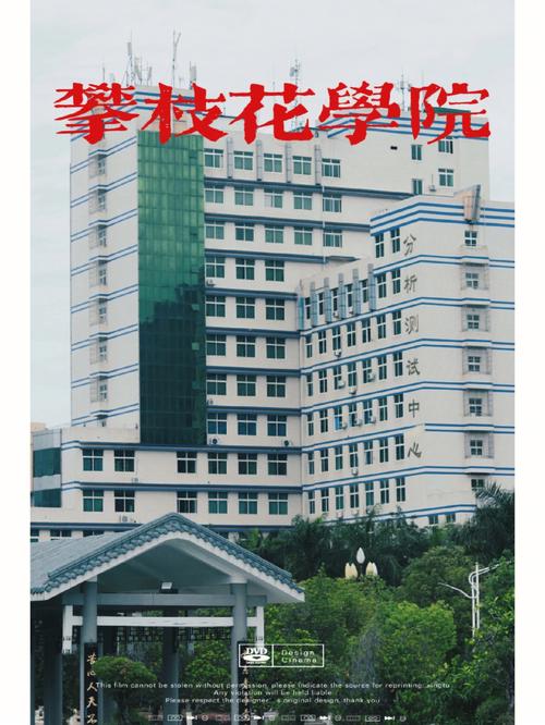 攀枝花有哪些技术学院