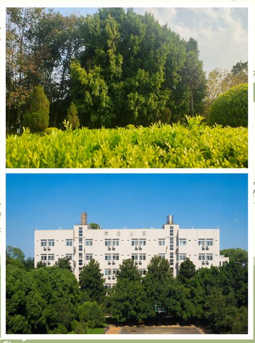 新亚教育艺术培训学校(双流校区)怎么样