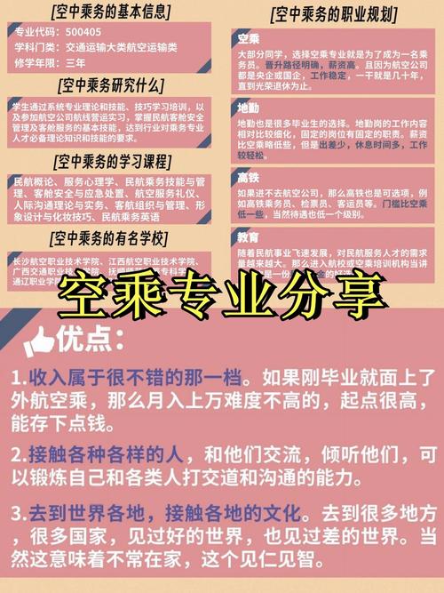 什么专业可以做空乘