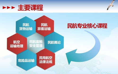 民航安全技术管理专业是冷门吗