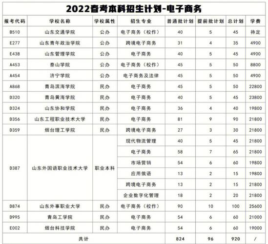 山东省电子商务专业哪些专科学校比较好
