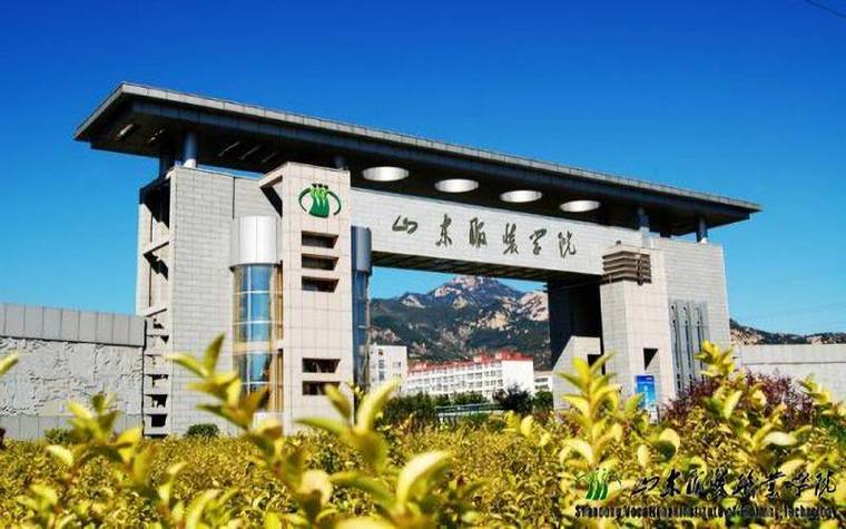 山东职业学院是211大学吗