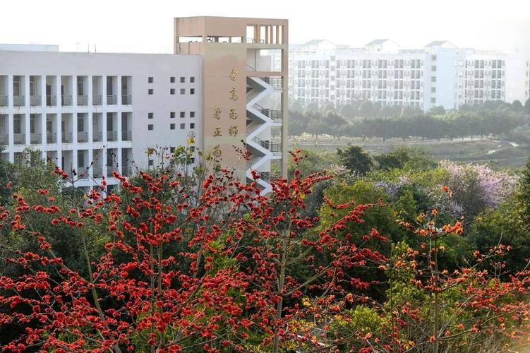广西民族师范学院的历史背景