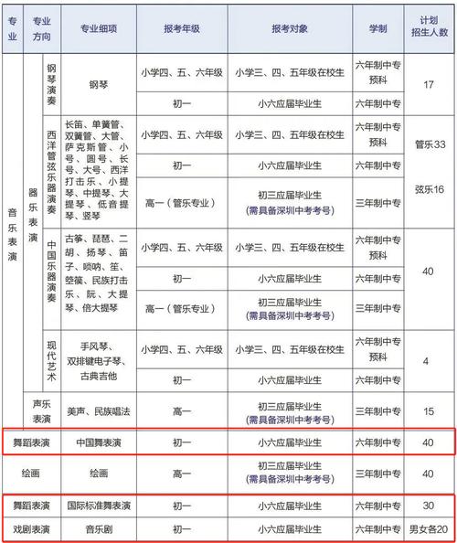 进入四川艺术职业学院舞蹈系要艺考吗?