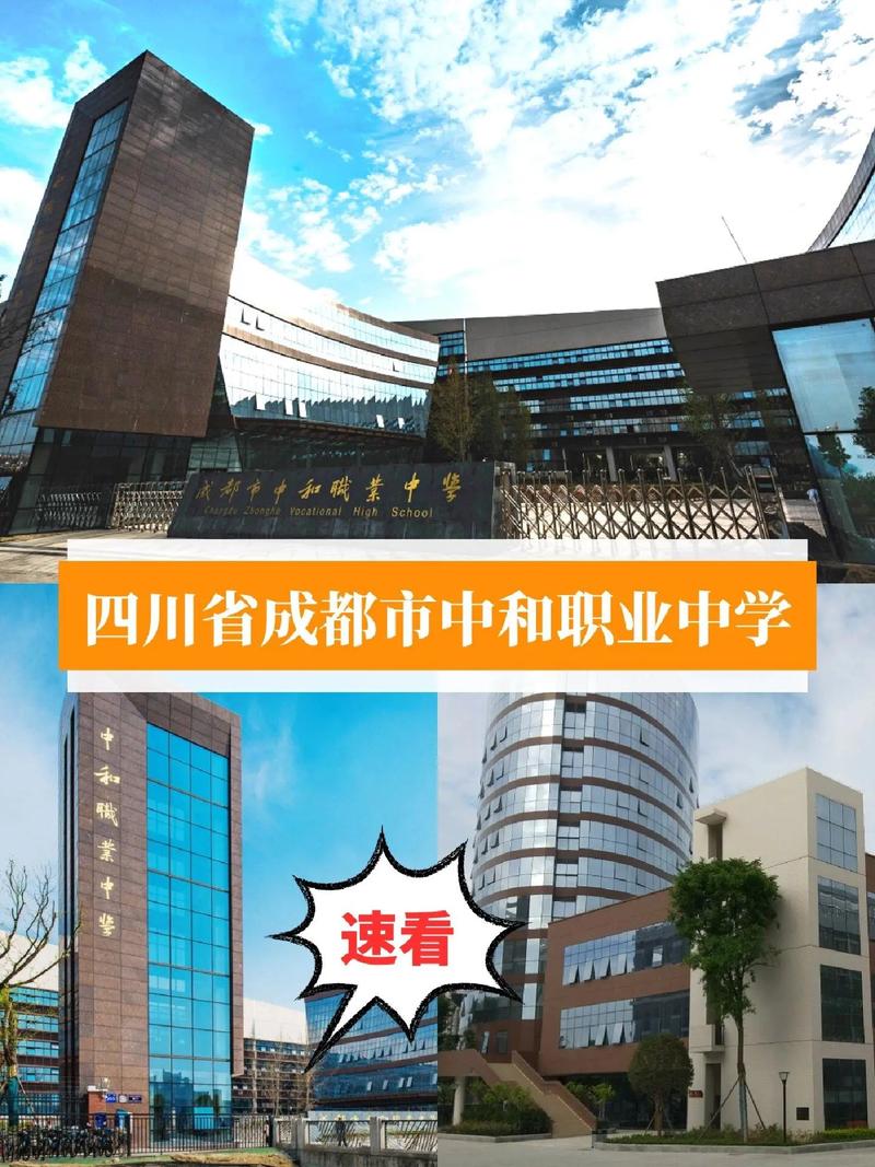 2024四川省成都市中和职业中学中加、中澳、中德世界项目招生简章_百度...