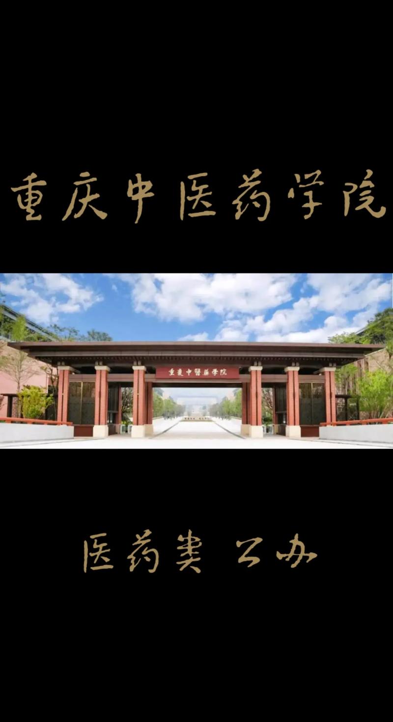 重庆中医学学校有哪些