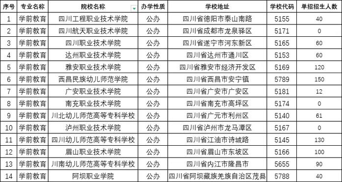 四川公办护理学校有哪些
