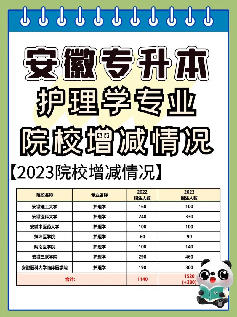 护理学本科可以考哪些编制