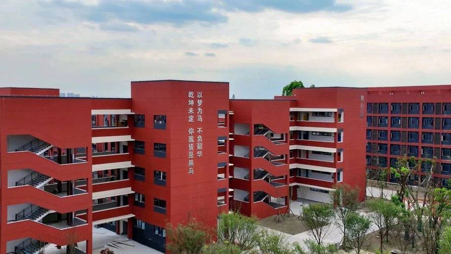 青白江有哪些大学