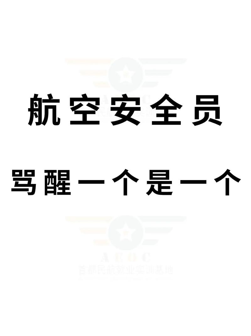 关于航空保安的问题