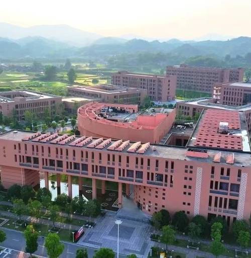 湖南艺术职业学院是高中还是大学