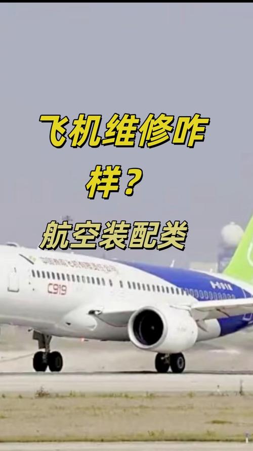 修飞机的专业叫什么