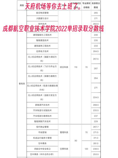 成都市空乘学校2024年收费标准