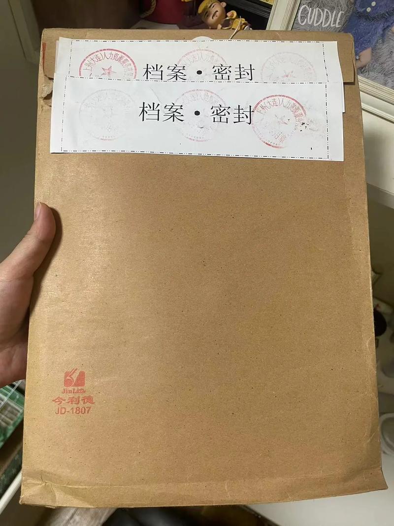 档案学校不给